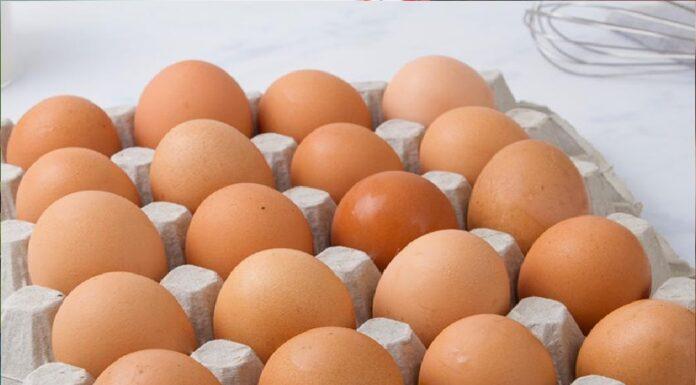 Attenzione alle uova, rischio infezione alimentare