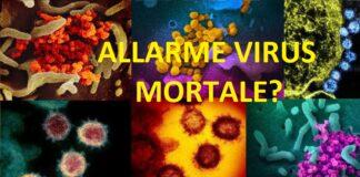 Virus mortale in autunno? Gli avvertimenti