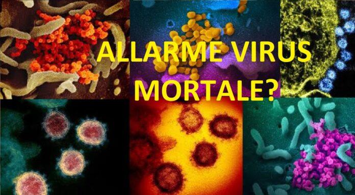 Virus mortale in autunno? Gli avvertimenti