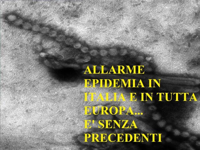 Allarme influenza ed epidemia in Italia, la più grande d’Europa