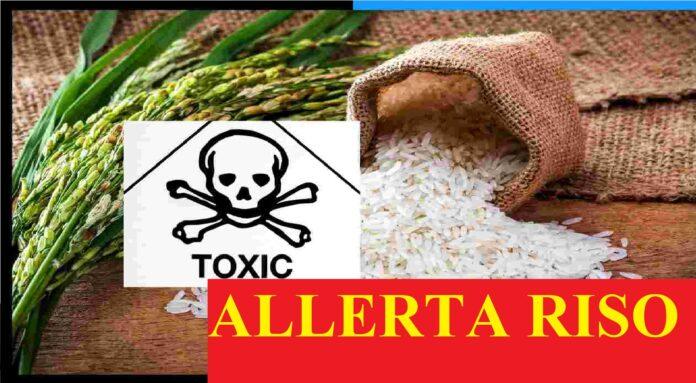 Allerta riso, rischio per la salute, il marchio