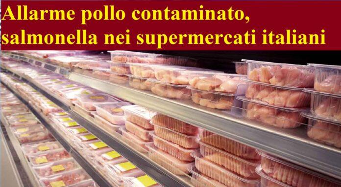 Allarme pollo contaminato, salmonella nei supermercati italiani