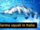Allarme squali in Italia, ecco dove